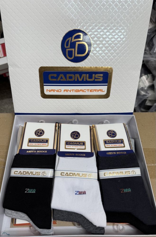 IMG_20251118_160159_322